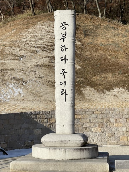 5.  사람보다 더 큰 죽비(竹)로 해인사 원당암에 있다. 참선하는 공간에서 혼침에 빠져 좌선을 제대로 하지 않는 경우, 죽비로 어깨를 내려치며 수행을 독려한다. 훈련에서 쓰이는 죽비는 1미터 정도로 커서 ‘장군죽비’라고도 불린다. 이는 ‘깨달음의 회초리’이다. 